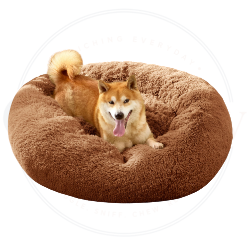 Calming Beds for Dogs, Coozy Paw USA