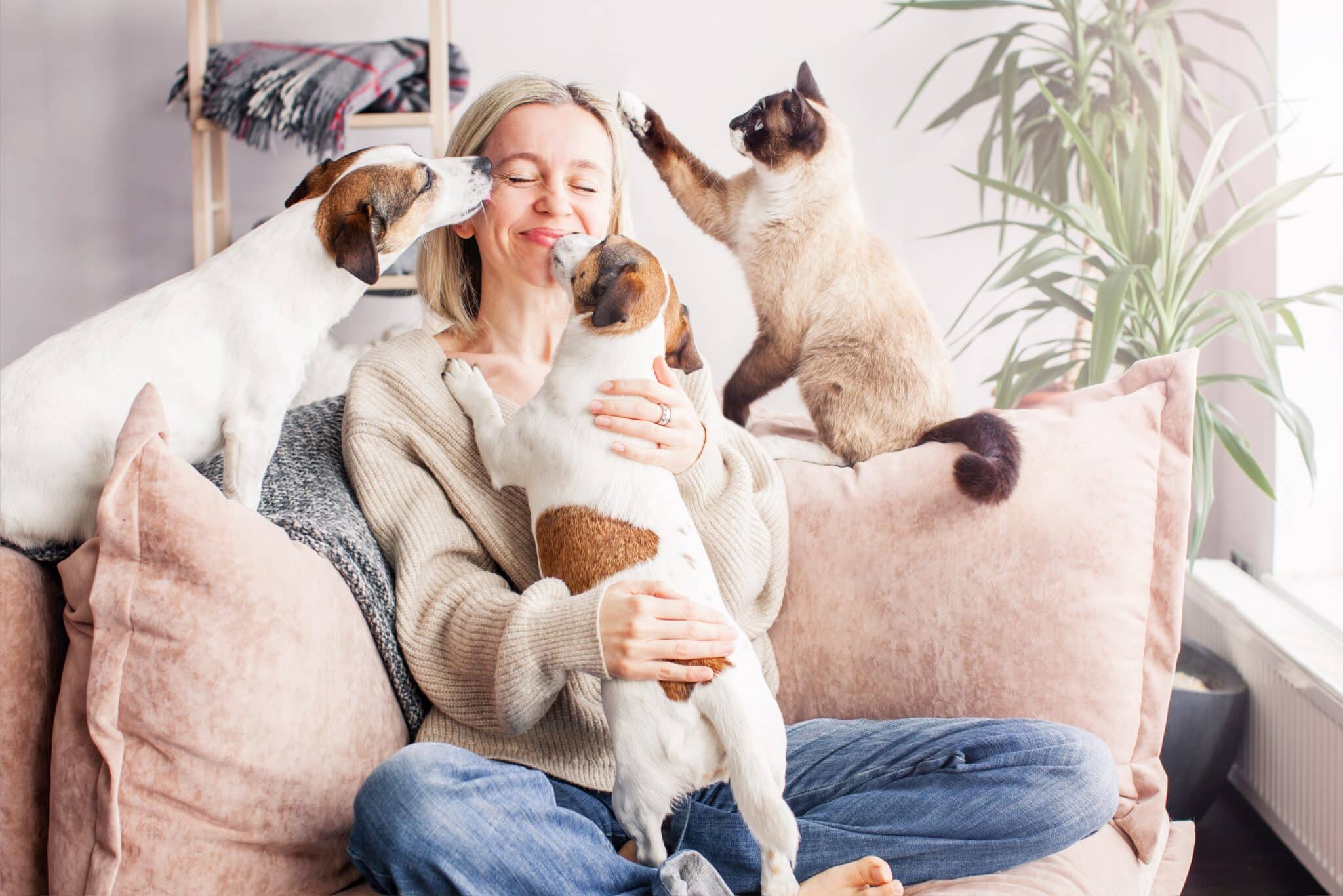 Happy Woman Playing With Her Dog On The Couch