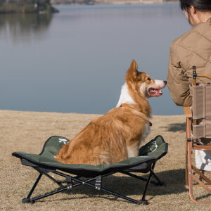 Elevated Outdoor Dog Bed – Detachable & Washable Folding Cot with Sturdy Aluminum Frame