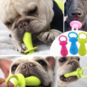 Spiked Rubber Chew Toy for Small Dogs – Squeaky TPR Ball for Teething, Fetch & Play